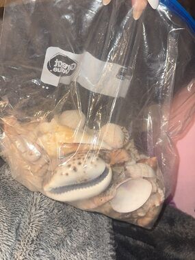bag of shells